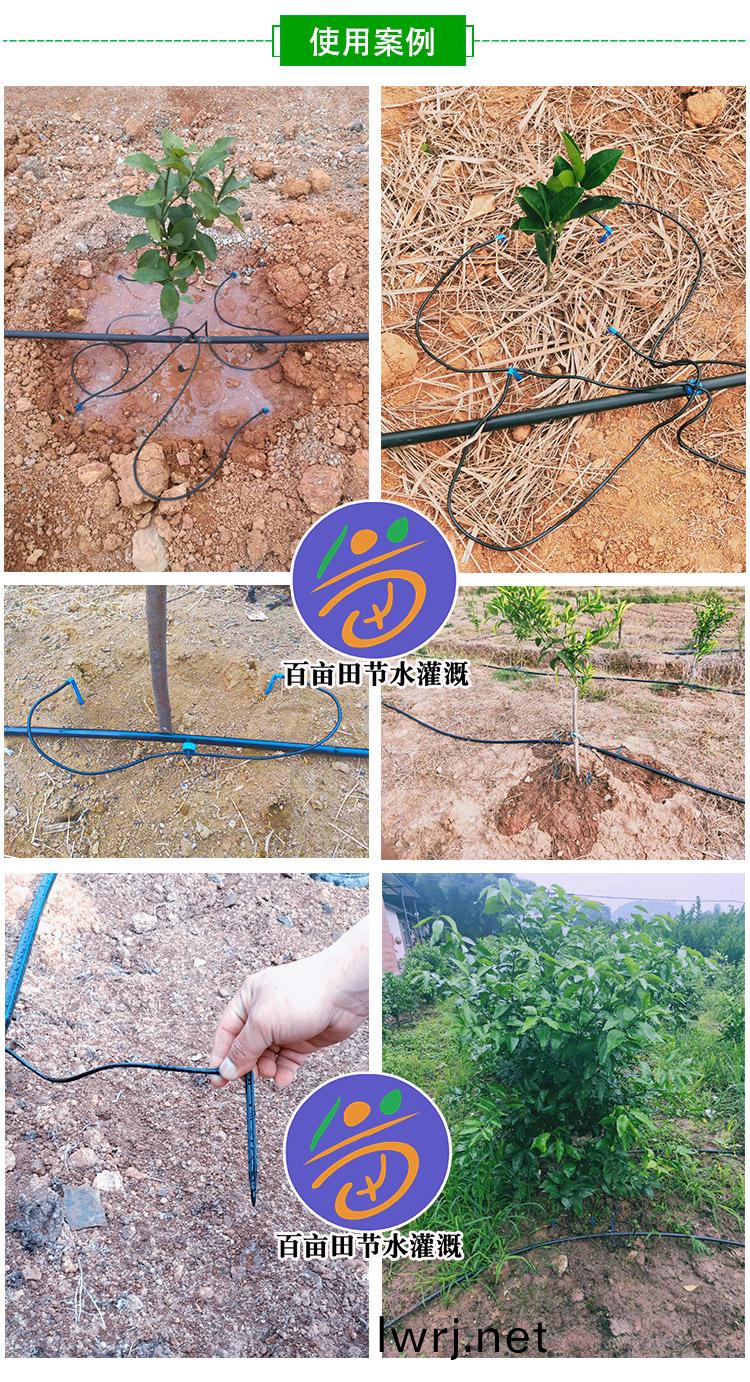 滴箭(jian),一齣(chu)四(si)滴(di)箭