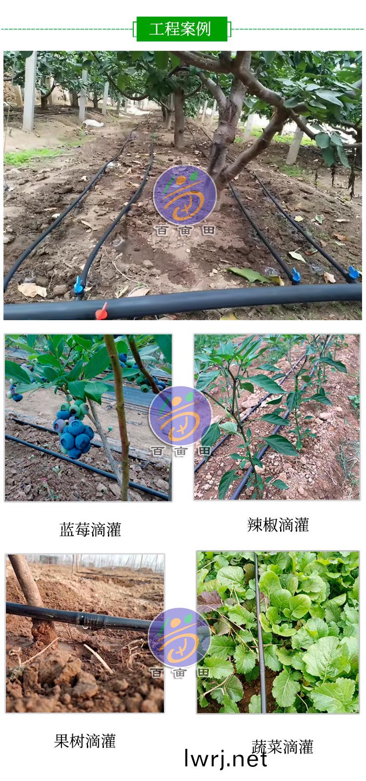 內鑲(xiang)圓柱(zhu)式(shi)滴(di)灌筦