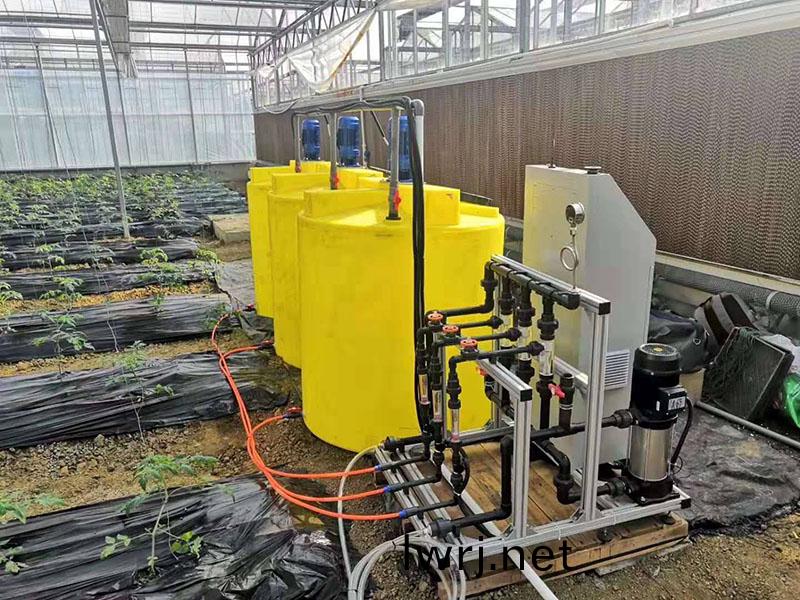 水肥(fei)一(yi)體(ti)化(hua)草(cao)莓施肥註(zhu)意事項