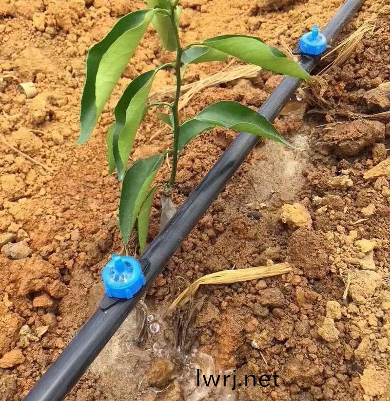 微(wei)噴(pen)灌每畝(mu)地(di)多少(shao)錢