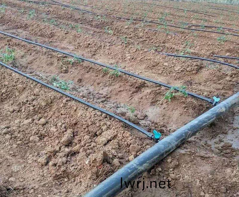 滴灌、微噴灌每畝地(di)多(duo)少錢(qian)