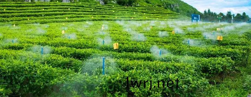 水(shui)肥(fei)一(yi)體化(hua)設(she)備(bei),水肥一體(ti)化係(xi)統(tong)