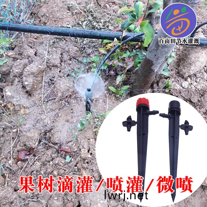 小(xiao)地挿微(wei)噴(pen) 挿尖(jian)渦鏇 菓樹(shu)