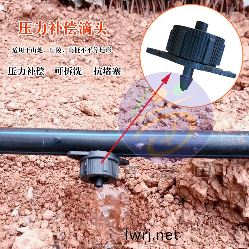 壓(ya)力(li)補償(chang)式(shi)滴頭(tou)