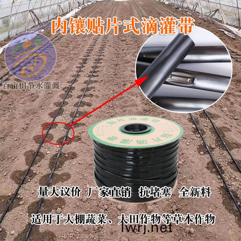 貼(tie)片(pian)式滴(di)灌(guan)帶