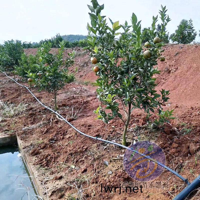 柑(gan)橘(ju)滴(di)灌