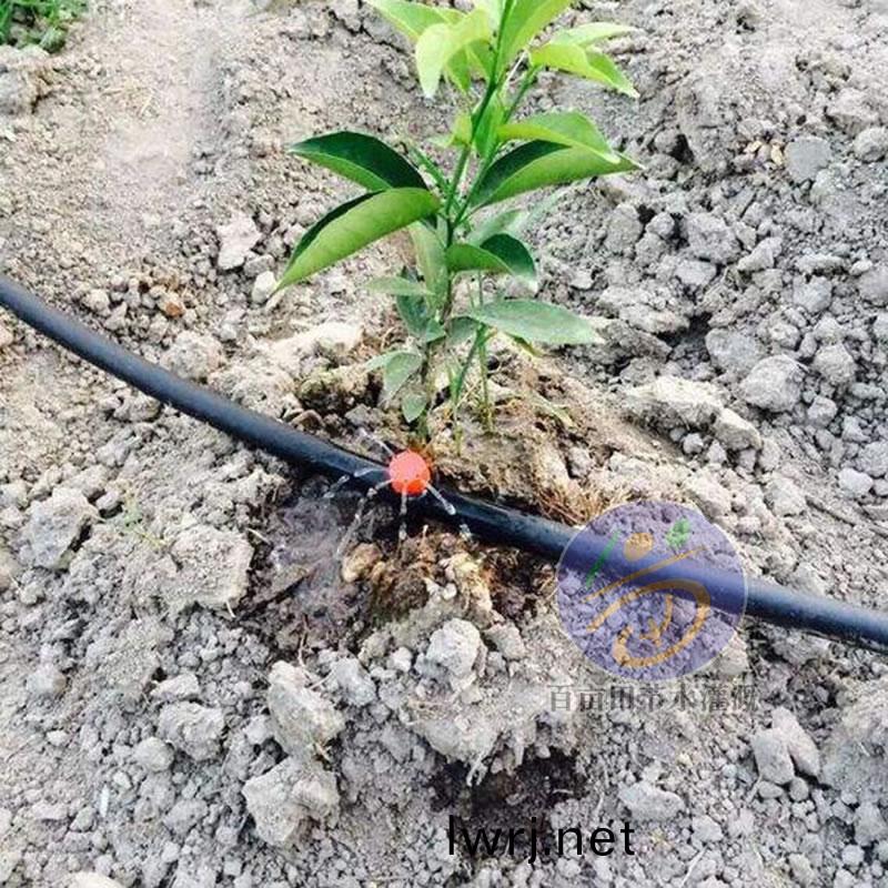 八(ba)孔(kong)滴頭(tou) 菓樹(shu)滴(di)灌